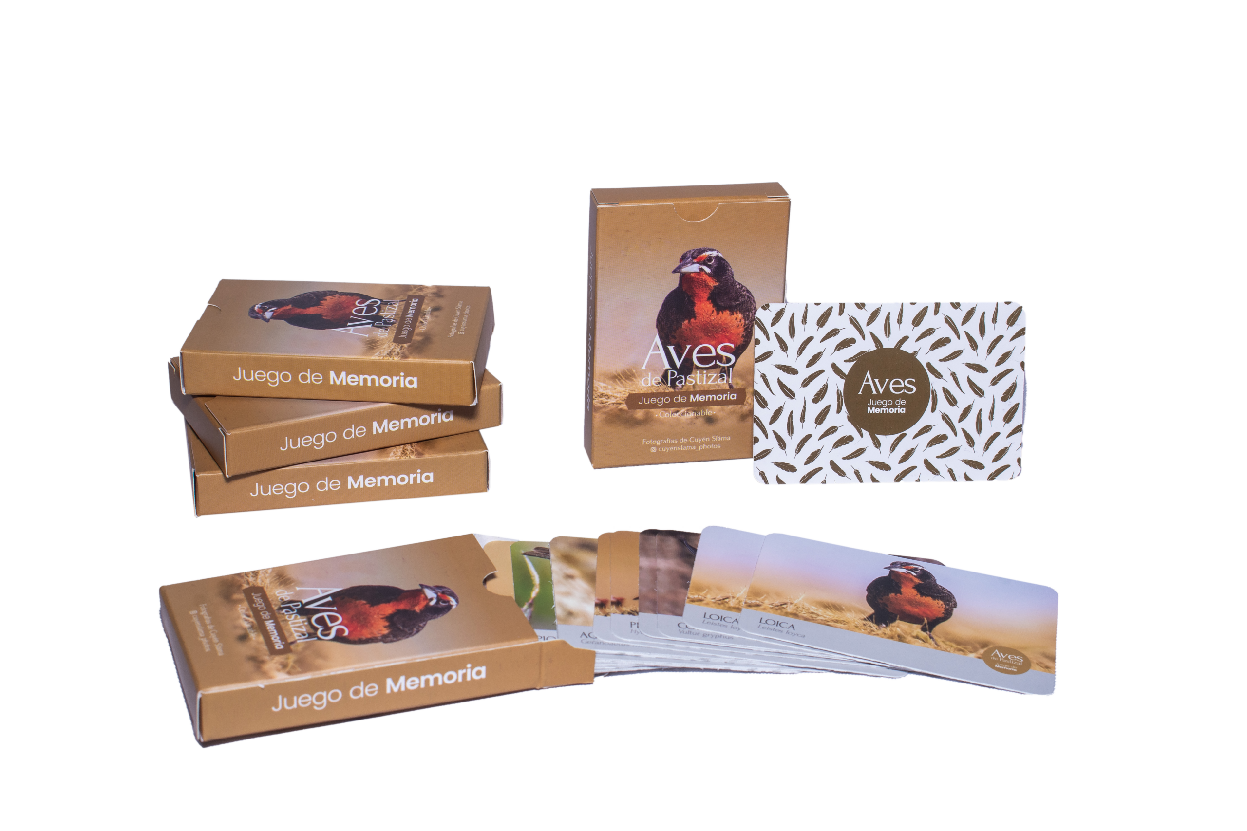 Aves de Pastizal - Imagen 2