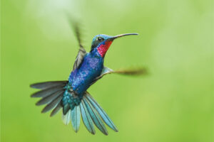 Copia de postales-36