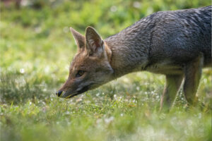 Copia de postales-42 (1)