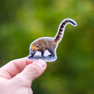 Coatí