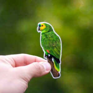 Loro hablador