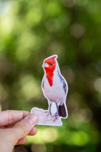 Cardenal copete rojo