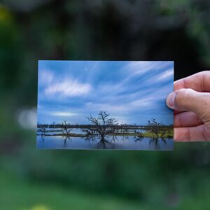 Noche en Bañado la Estrella